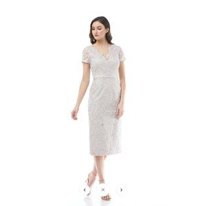 J S Collections Nude Sliver illusion Lace V-Neck Short Sleeves Sheath Dress 8